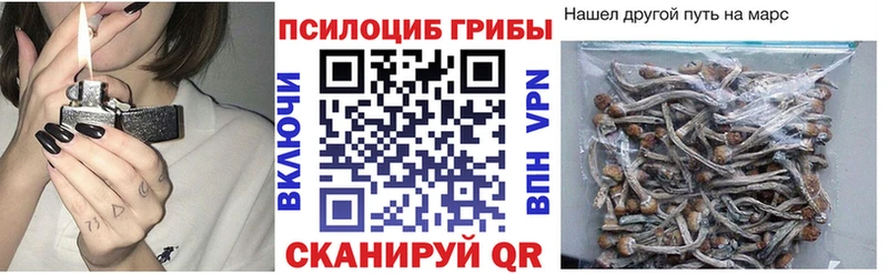 Псилоцибиновые грибы прущие грибы  mega зеркало  Канск  дарнет шоп 